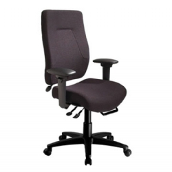 Chair - ErgoCentric E-Centric High Back, Plus Size Seat, Adjustable Armrests & Hercules Base